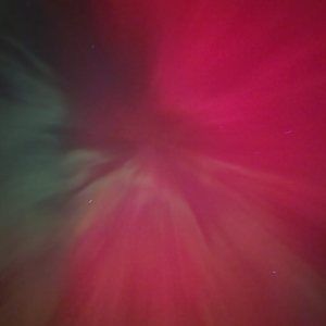 Meet your Posher, Ginger